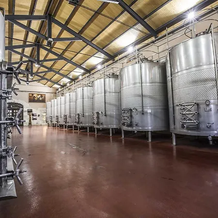 El Lagar De Isilla 酒店 La Vid y Barrios