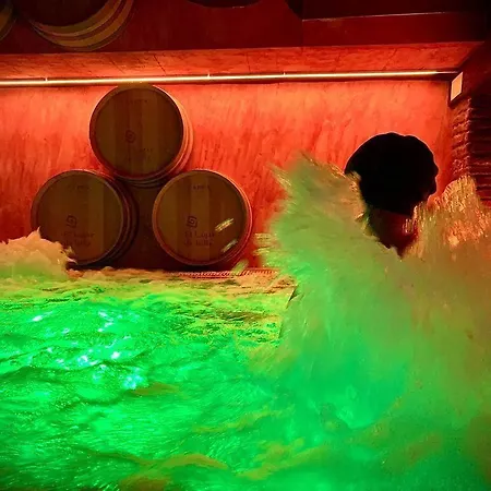 Hotel El Lagar De Isilla La Vid y Barrios