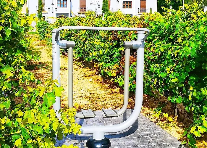 Hotel El Lagar De Isilla La Vid y Barrios