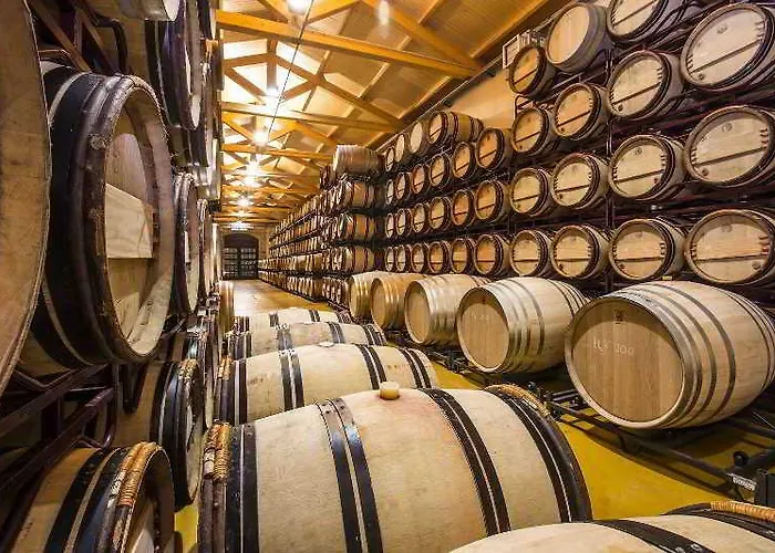 El Lagar De Isilla La Vid y Barrios