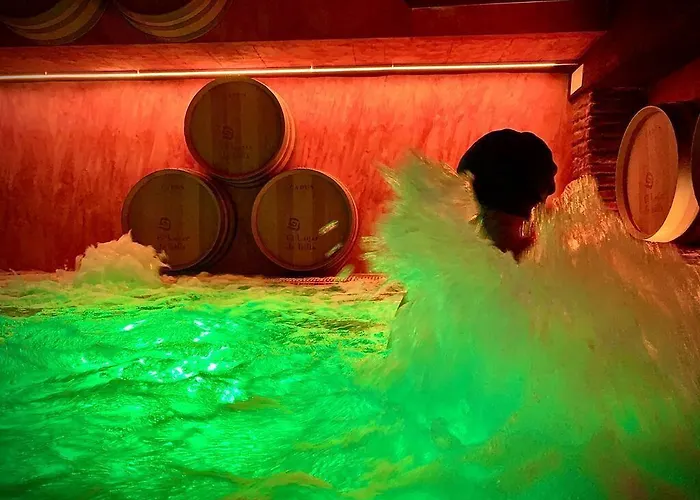 호텔 El Lagar De Isilla La Vid y Barrios